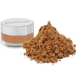 PALINA - Stardust Beyonce