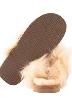 Shepherd of Sweden - Dam Evelina Tofflor Chestnut
