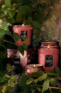 Voluspa - Foraged Wildberry Large Jar Candle