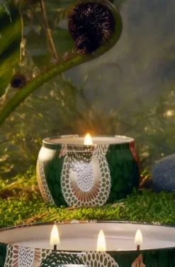 Voluspa - Temple Moss Mini Tin Candle