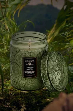 Voluspa - Temple Moss Small Jar Candle