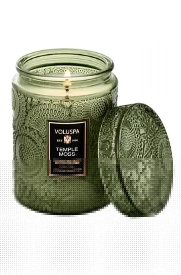 Voluspa - Temple Moss Small Jar Candle
